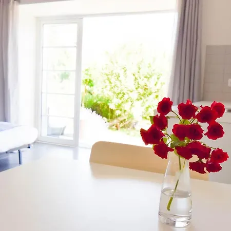 Bed & Breakfast Casa Nas Serras 3*